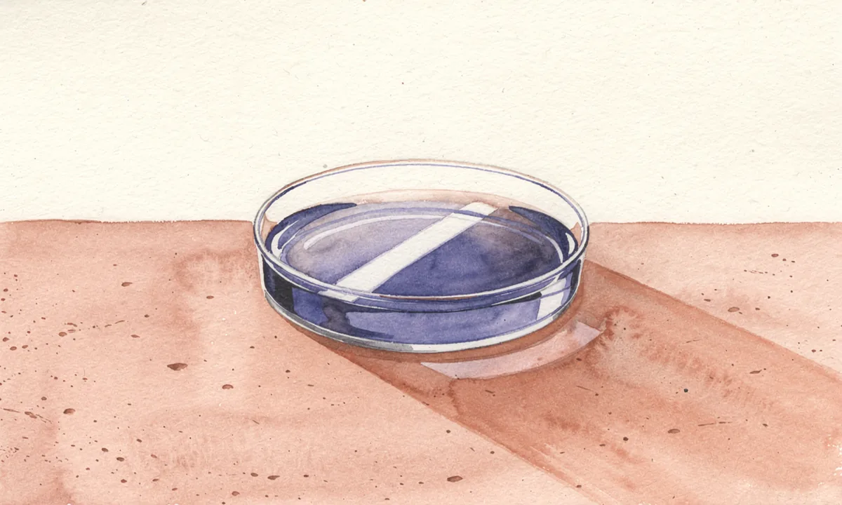 A shallow glass dish of blue-violet solution rests on a pale laboratory surface